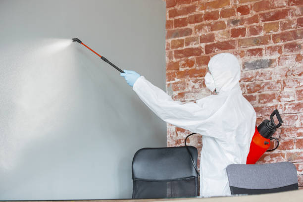 Best Post-Construction Mold Inspection  in Chenoweth, OR